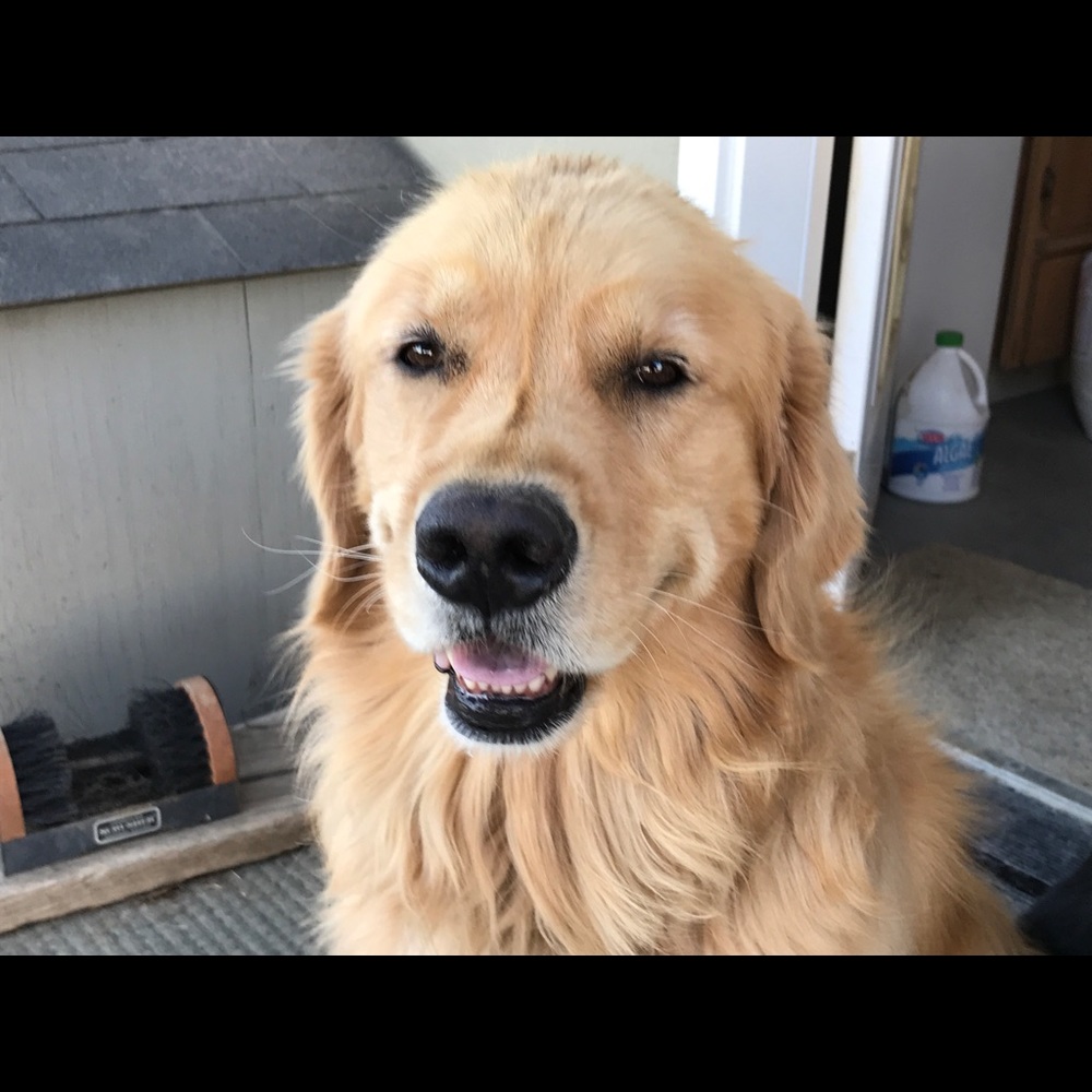 Meet your Posher, Kalie